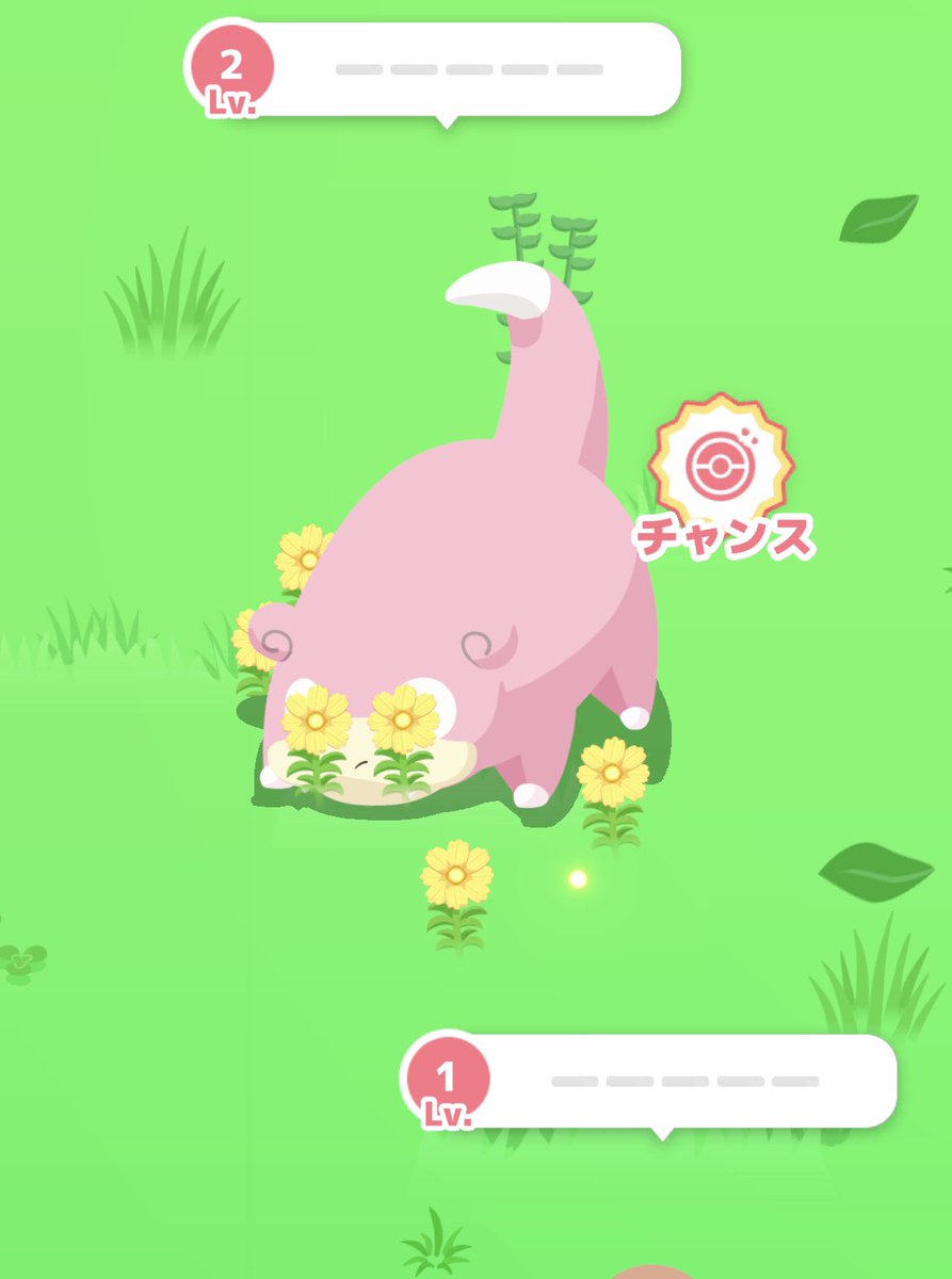 ヤドンチャンス🌼🌼