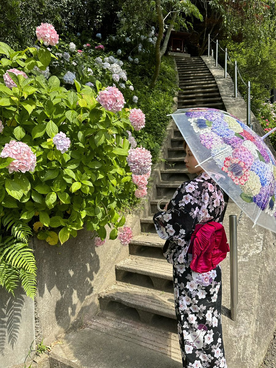 kiri_actor's tweet photo. #紫陽花傘フォトコン
#フェリシモ
#雨空に咲きこぼれる紫陽花の傘
#写真好きな人と繋がりがたい 
#写真好きと繋がりたい 
#photograph 
#japan https://t.co/a2Cg1Ew6sq
