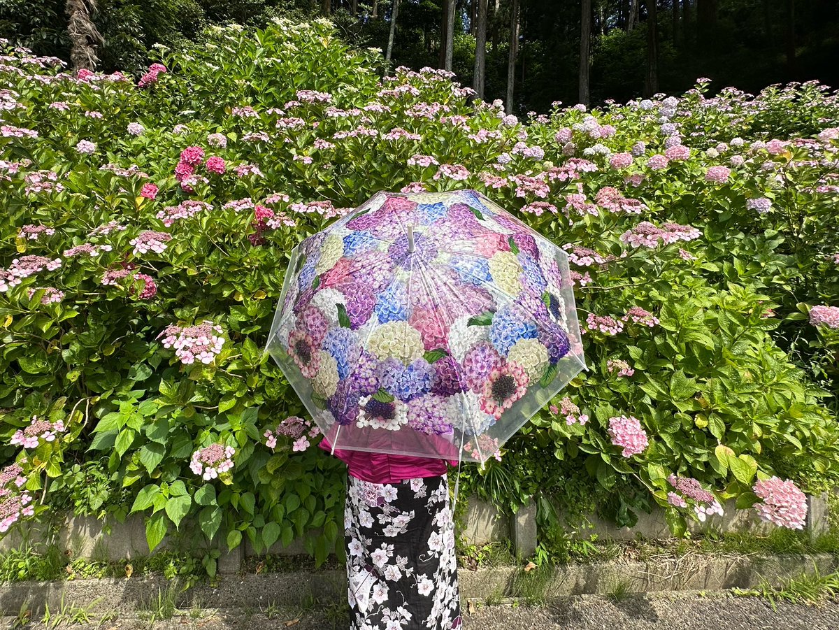 kiri_actor's tweet photo. #紫陽花傘フォトコン
#フェリシモ
#雨空に咲きこぼれる紫陽花の傘
#あじさい 
#photo 
#写真 https://t.co/9YOXJhZXLb
