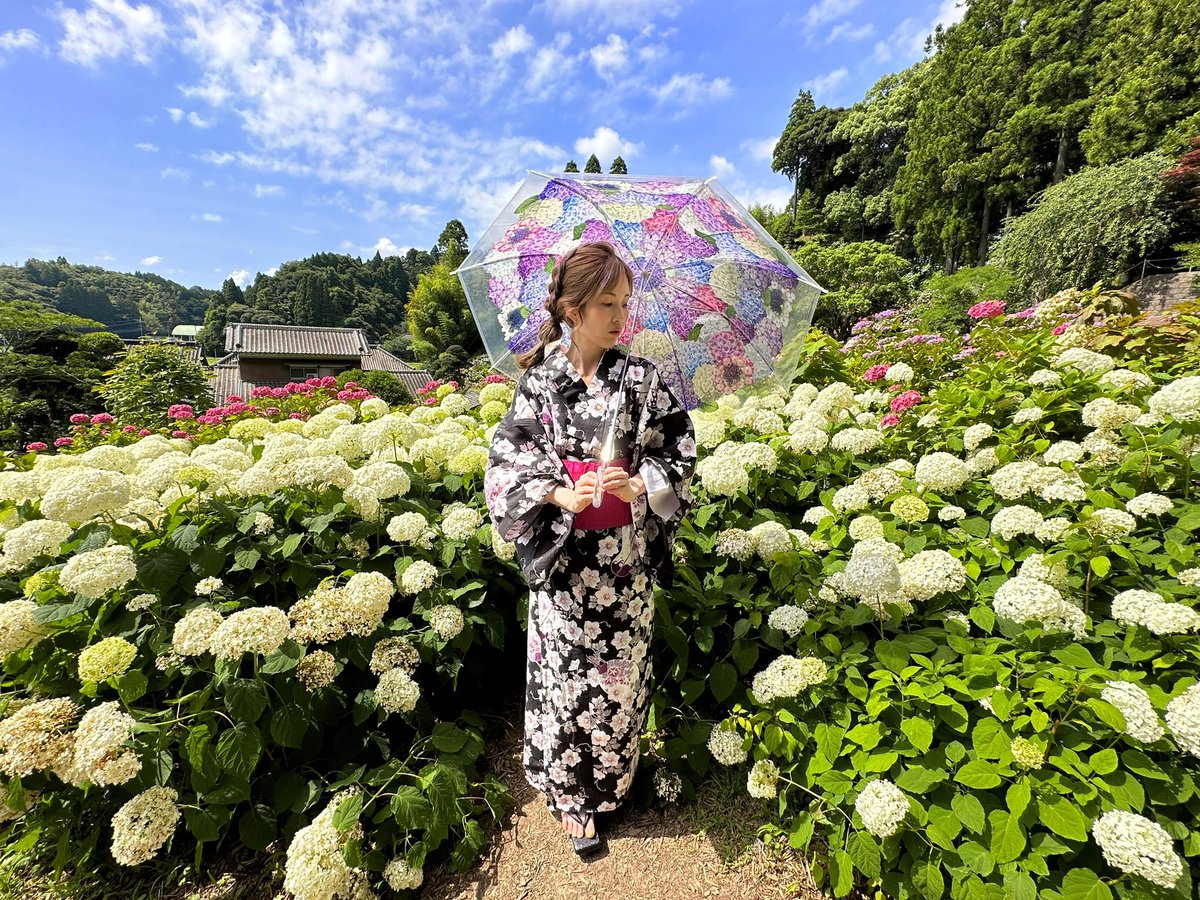 kiri_actor's tweet photo. #紫陽花傘フォトコン
#フェリシモ
#雨空に咲きこぼれる紫陽花の傘
#あじさい 
#photo 
#写真 https://t.co/9YOXJhZXLb