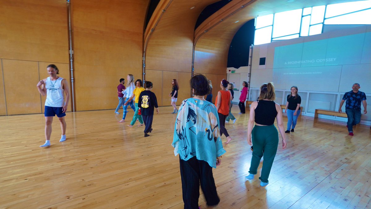 Irene Salvo tweet media