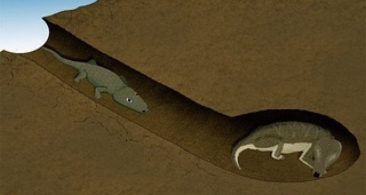 Historic Vids tweet media