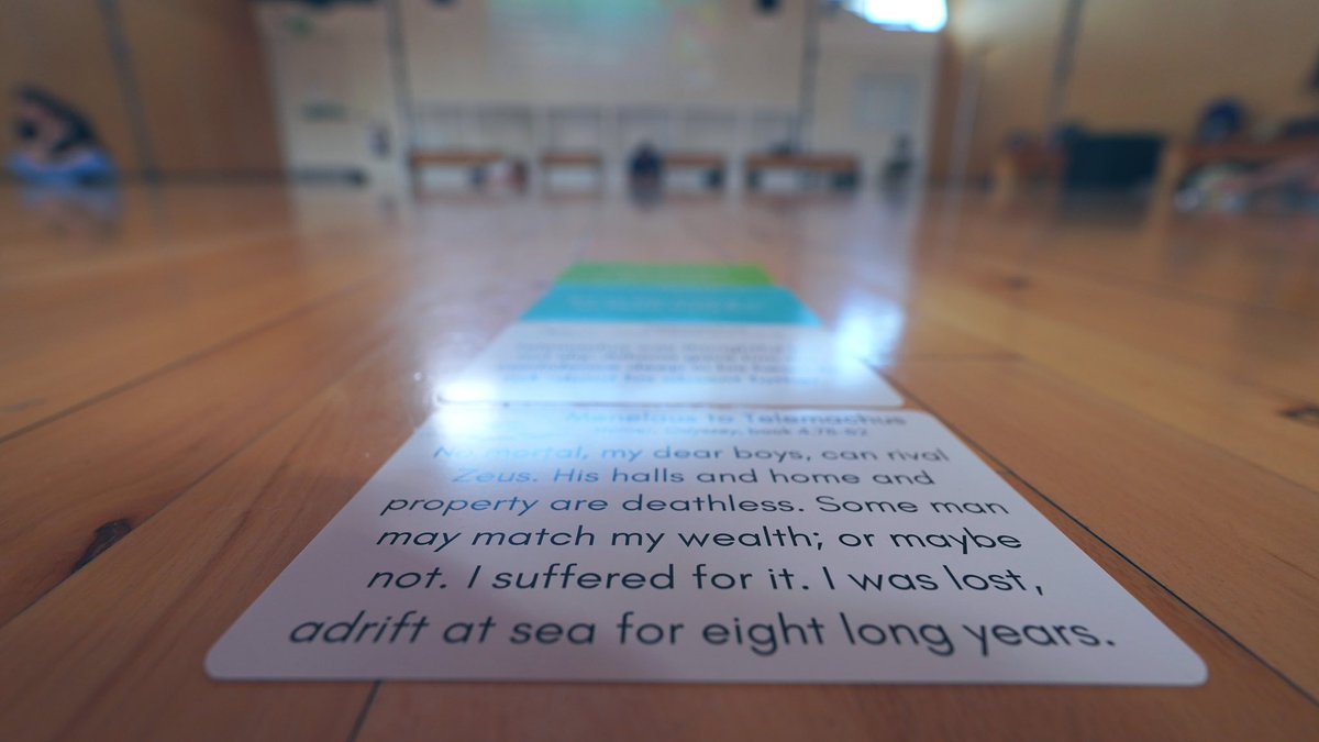 Irene Salvo tweet media