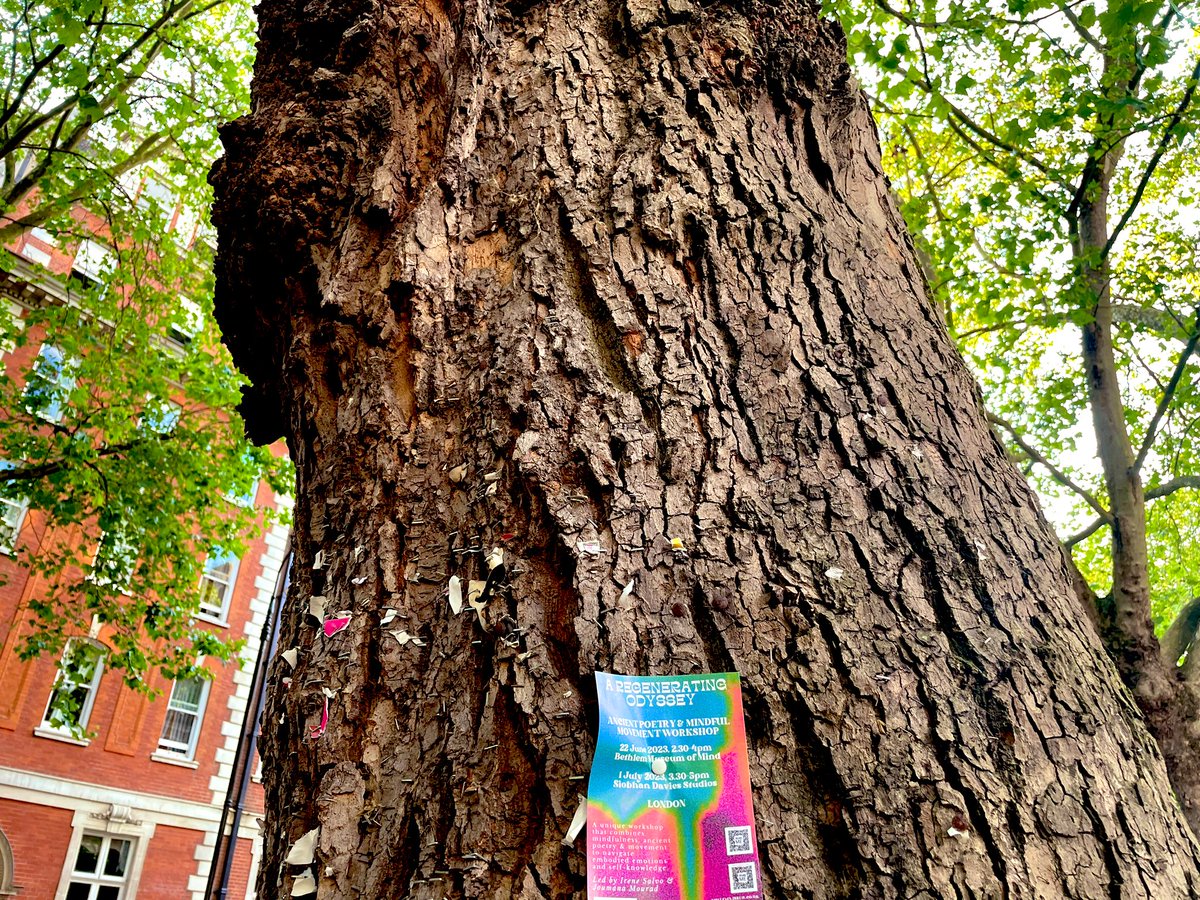 Irene Salvo tweet media