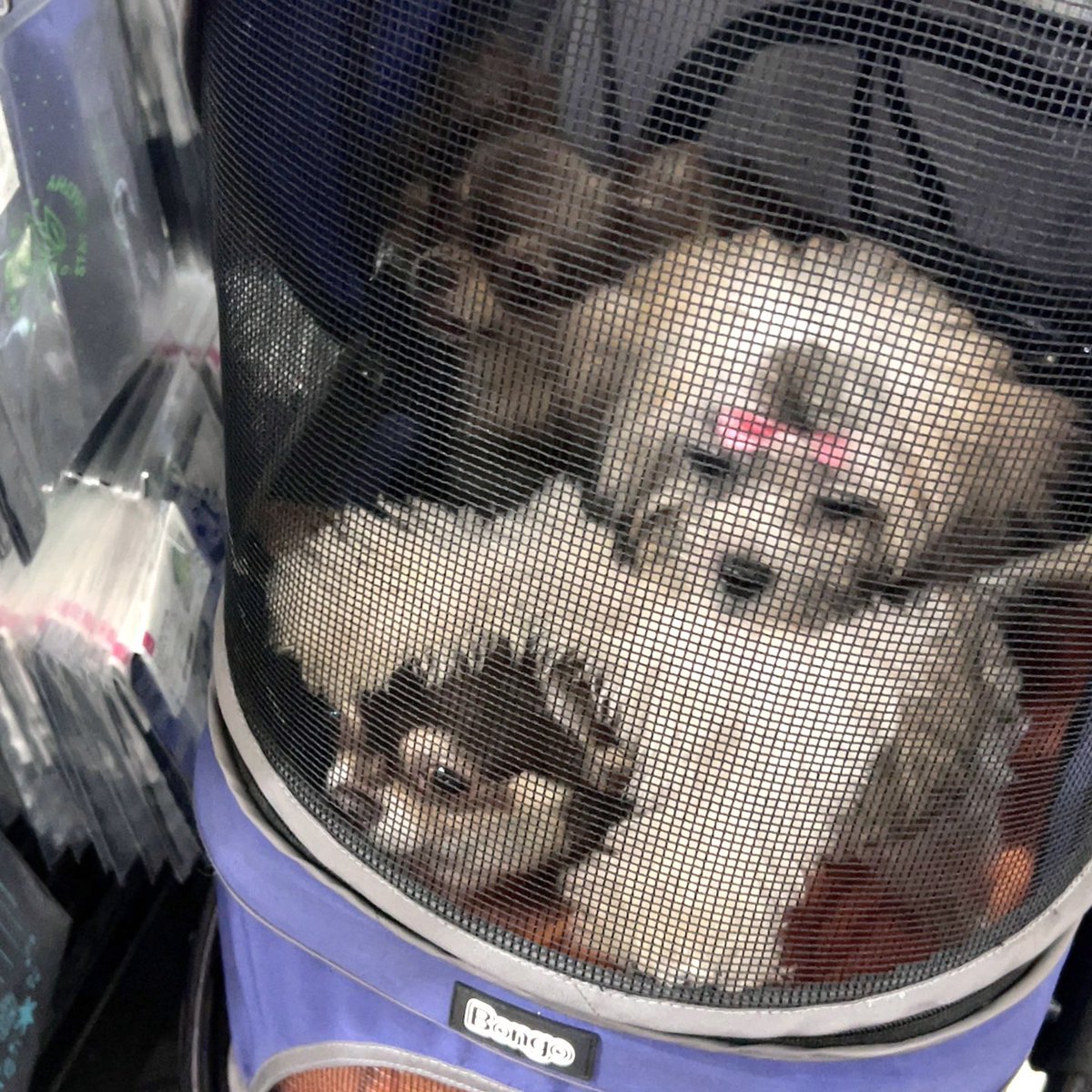 21_xno's tweet photo. 😭🥹🥲🤏🏻🤏🏻 https://t.co/DZc5UK3ZQy