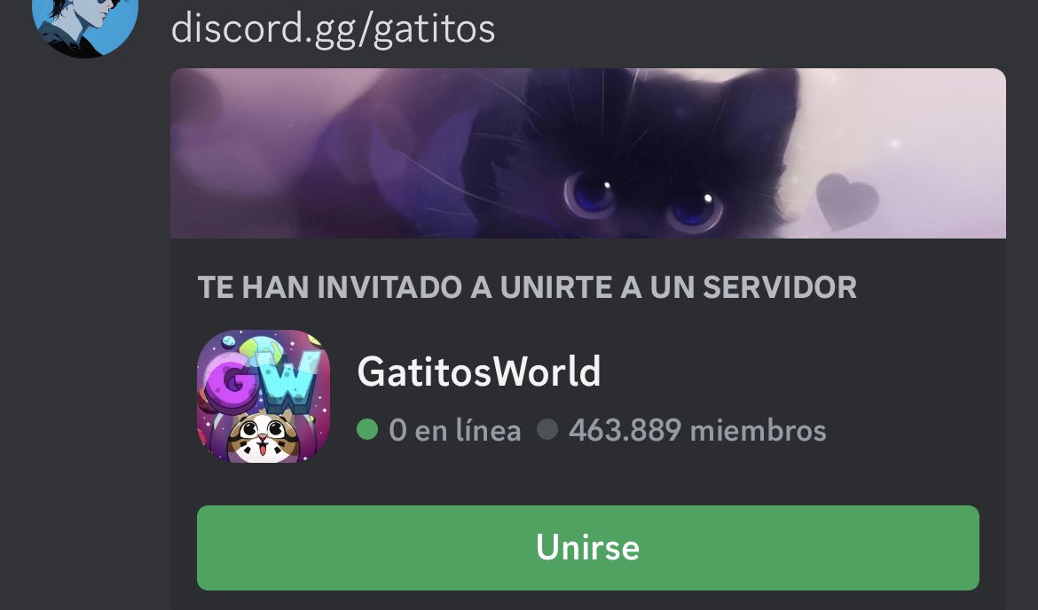 Capitan Gato tweet media
