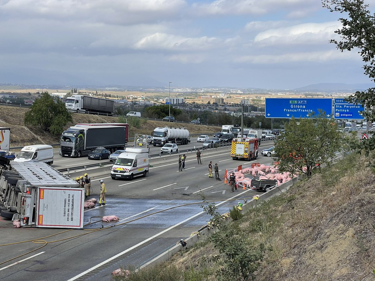 clarapamies's tweet photo. Tallada l’AP7 en sentit nord, a Santa Perpètua de Mogoda. Un vehicle ha xocat amb un camió que transportava desenes de porcs. @transit recomana fer servir rutes alternatives. @324cat @tv3cat https://t.co/EgGE32iJgV