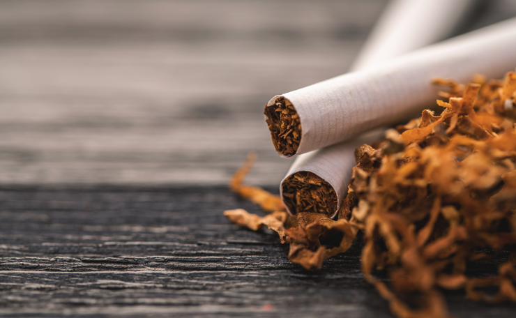 iserrapilheira's tweet photo. 🍅Você sabia que o tomate, assim como o tabaco, contém nicotina? A diferença é que a indústria do tabaco processa suas folhas para aumentar significativamente a concentração de nicotina no cigarro, além de incluir aditivos que favorecem o vício. Mais na thread 👇 https://t.co/uiTk0HP3oM