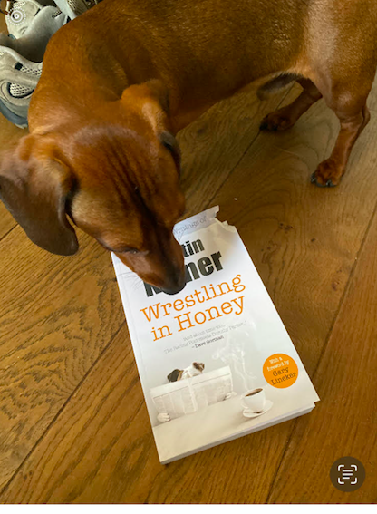 martinkelner's tweet photo. The dog goes for Wrestling In Honey rather than the Morrison's pork luncheon meat. Proof positive that despite the 168 positive reviews, my collection of semi-humorous columns still beats the pallid pink meat for pure meaty goodness. A few copies still available #beatingthemeat https://t.co/w8JNSVHOpf