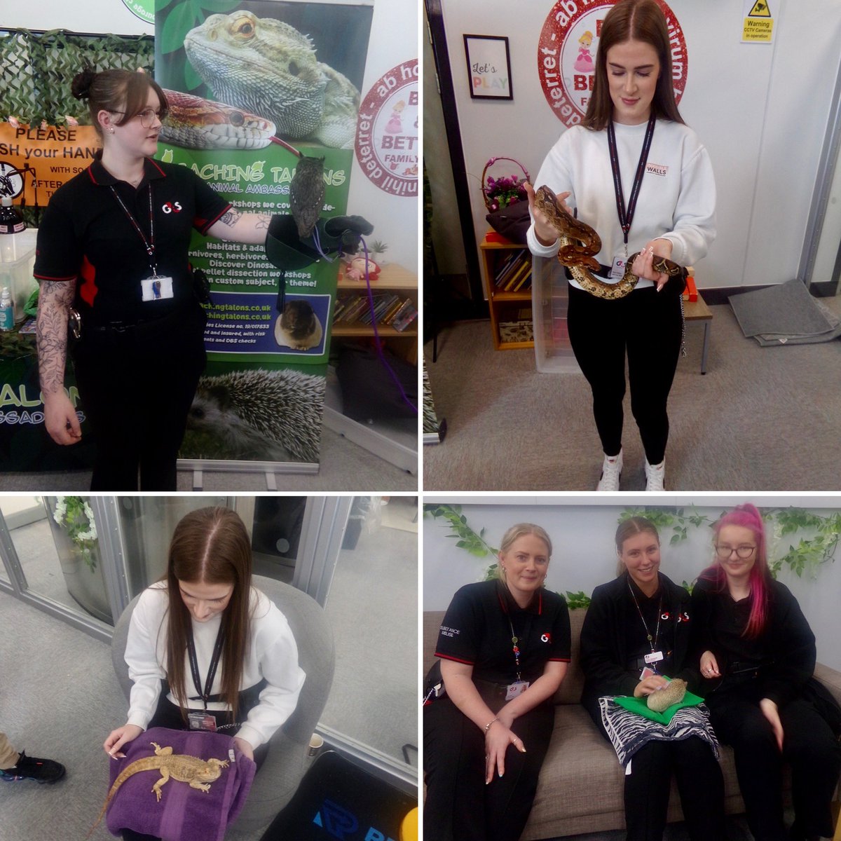 We visited our 1st prison back in May. The inmates fundraised to have the animals at a jungle themed family day and it was fab! Thanks to the team for sharing the photos of the staff joining in the fun and for having us! Chip the dog enjoyed his pat down search! <a href="/HMPFiveWells/">Her Majesty's Prison Five Wells</a>