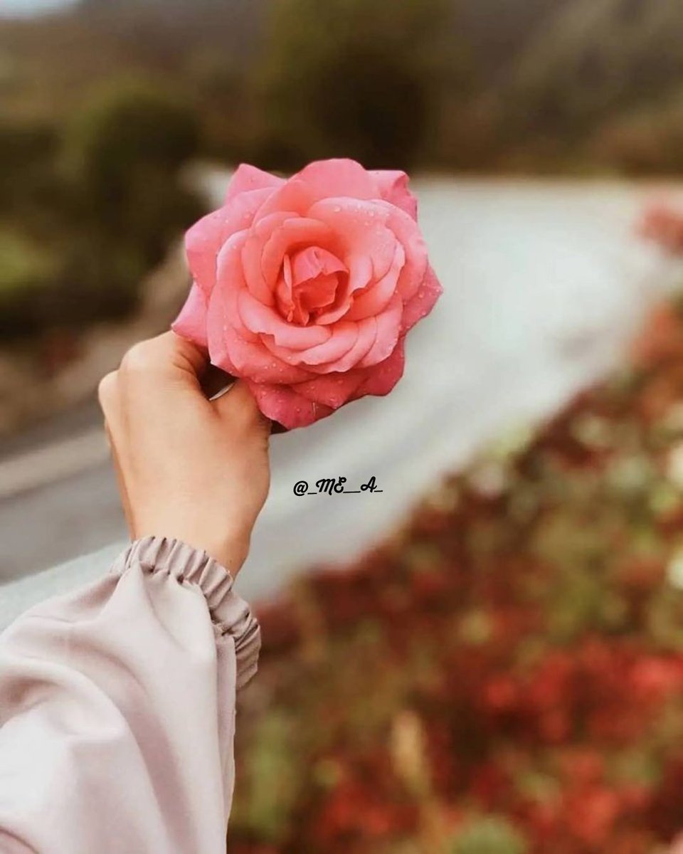 عبدالله 𐩱𐩡𐩨𐩧𐩺𐩷𐩱𐩬𐩺 tweet media