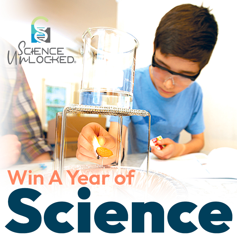 HSTools's tweet image. 📷Enter now for your chance to #win a FULL YEAR of #science with a Science Unlocked bundle of your choice! Sign-up to enter here: homesciencetools.com/l/science-give…
A winner will be randomly selected and announced on August 7th.
#homeschool #teachertwitter #STEMeducation