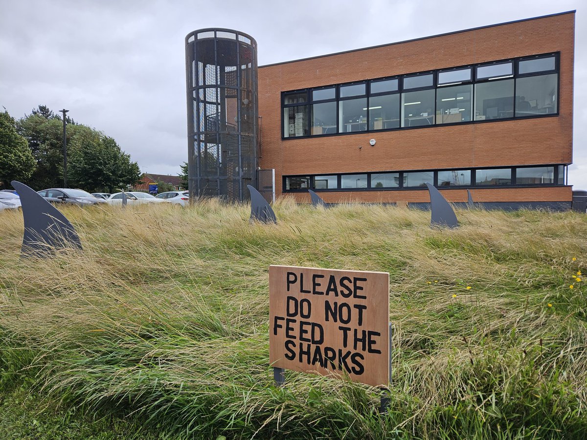 Surf and Turf? Sharks want biodiversity too? We all need nature? Just a bit of fun for the summer in our 'no mow' area. Also #goodweatherforsharks ! <a href="/TheDeepHull/">The Deep</a> <a href="/BIAZA/">BIAZA</a> <a href="/SharkTrustUK/">The Shark Trust</a> <a href="/BaskingSharkSco/">BaskingSharkScotland</a> <a href="/FutureHumber/">Future Humber</a> <a href="/SteveBackshall/">Steve Backshall</a> @isla_hodgson <a href="/DrLucyHawkes/">Dr Lucy A Hawkes</a> <a href="/HeatherKoldewey/">Heather Koldewey</a>