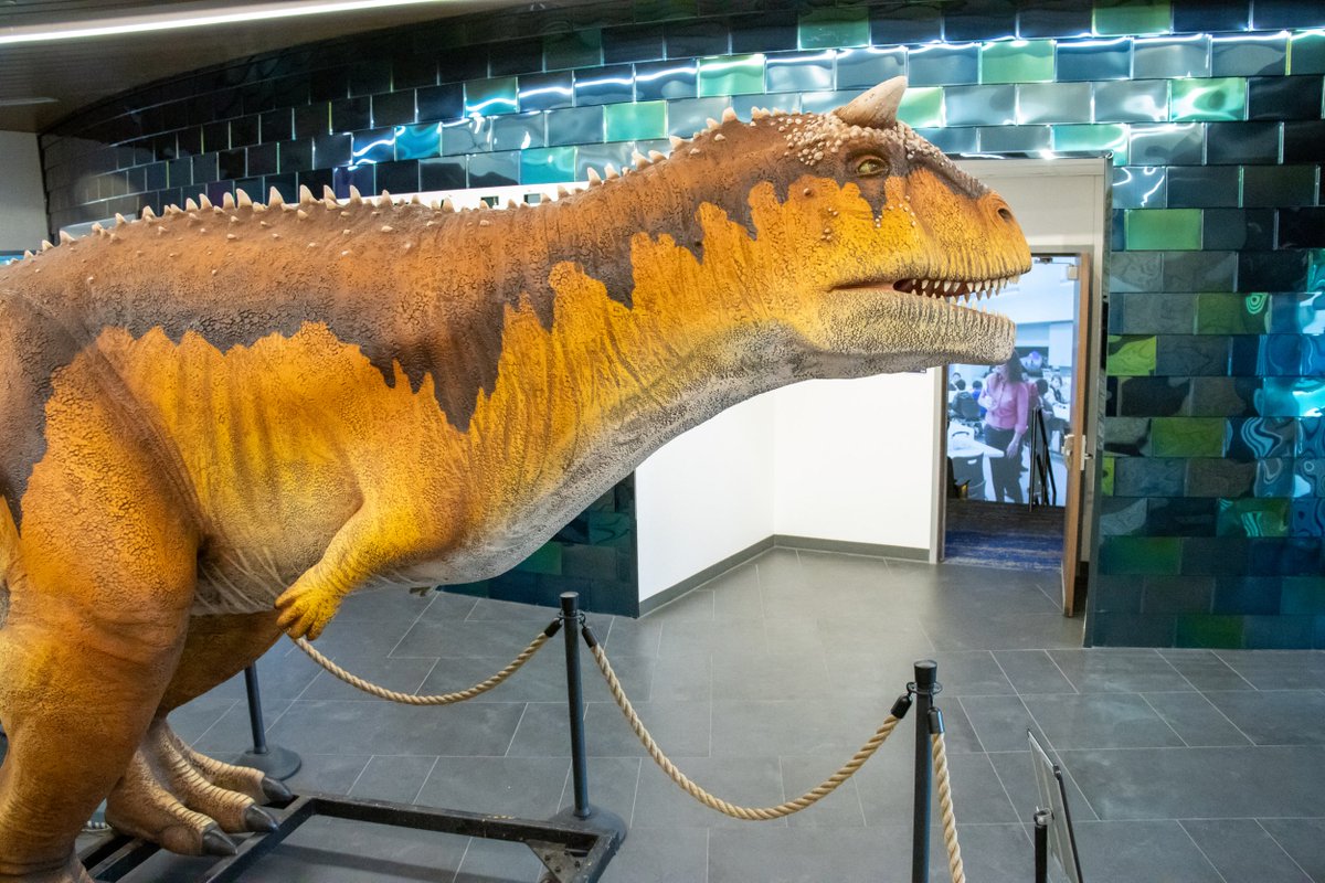 A new dinosaur appeared at the STEAM Center for the 2023-2024 school year! It replaces Cera, the Triceratops that occupied the space last school year. This soon-to-be-named Carnotaurus just can’t wait to see students soon!  Thanks to The Dinosaur Company in Allen.