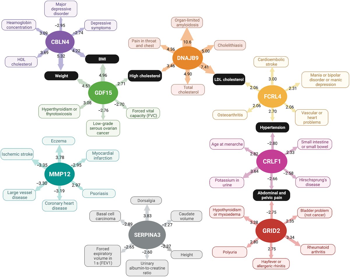 A proteome-wide study of more than 10,000 middle-aged adults identifies 15 proteins linked to a higher risk of #dementia and #AlzheimersDisease 25 years later.  Learn more in @ScienceTM: scim.ag/3y4