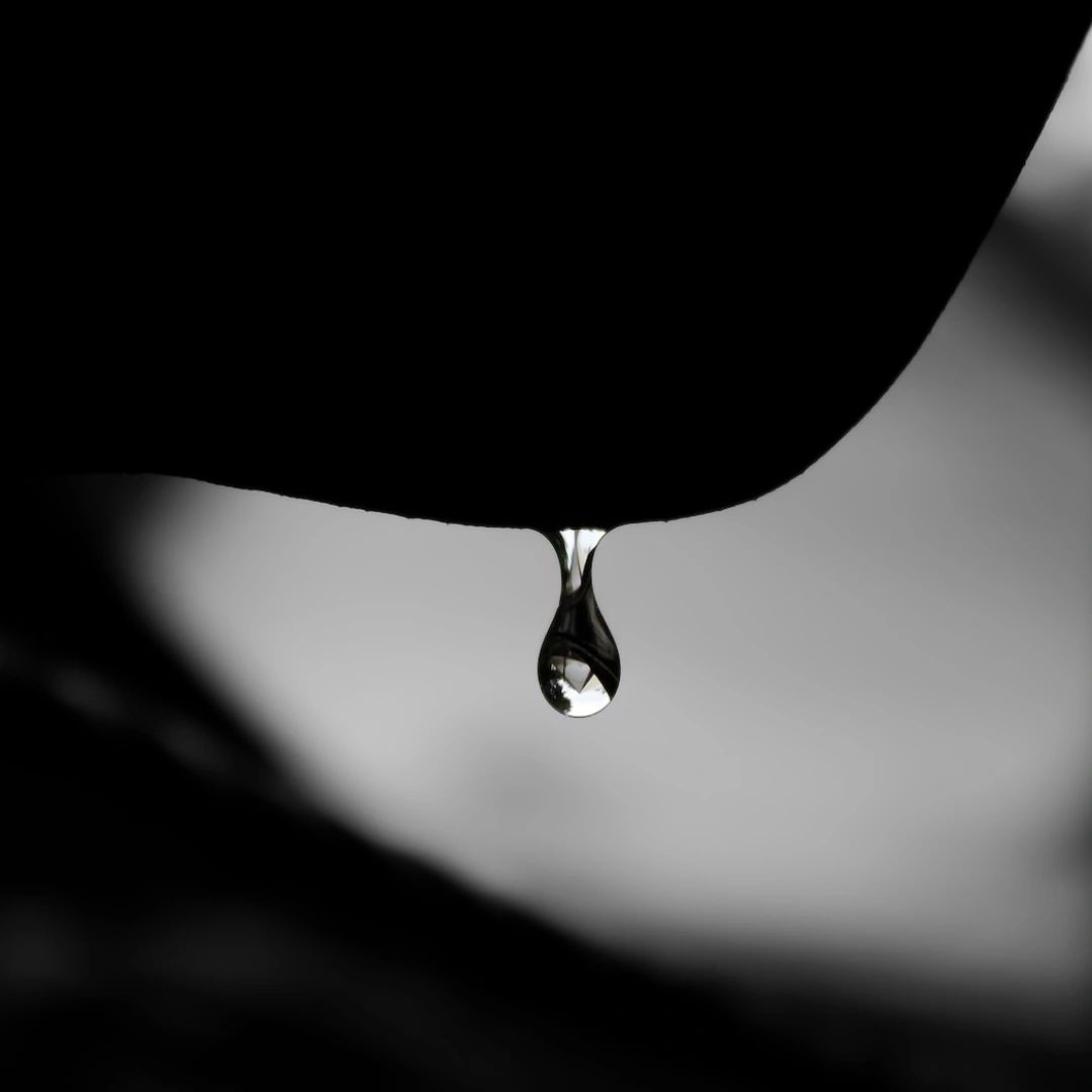 Did you know that the average household leaks can waste up to 10,000 gallons of water per year? 💧 Don't let your money go down the drain! Let us help detect and fix any leaks in your home. Book your appointment online today.

plumbingpro.com/?se_action=eyJ…