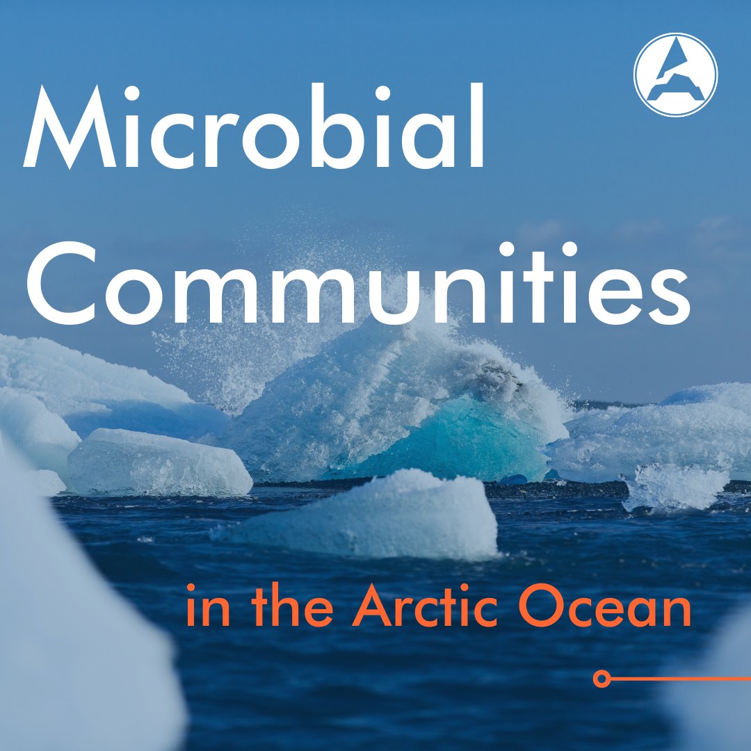 ArcticBasecamp's tweet image. In the vast Arctic Ocean, a microscopic world plays a pivotal role in maintaining the delicate balance of this unique ecosystem. Climate-related shifts in #MicrobialCommunities have the potential to disrupt the entire food web and impact vital ecosystem services.
