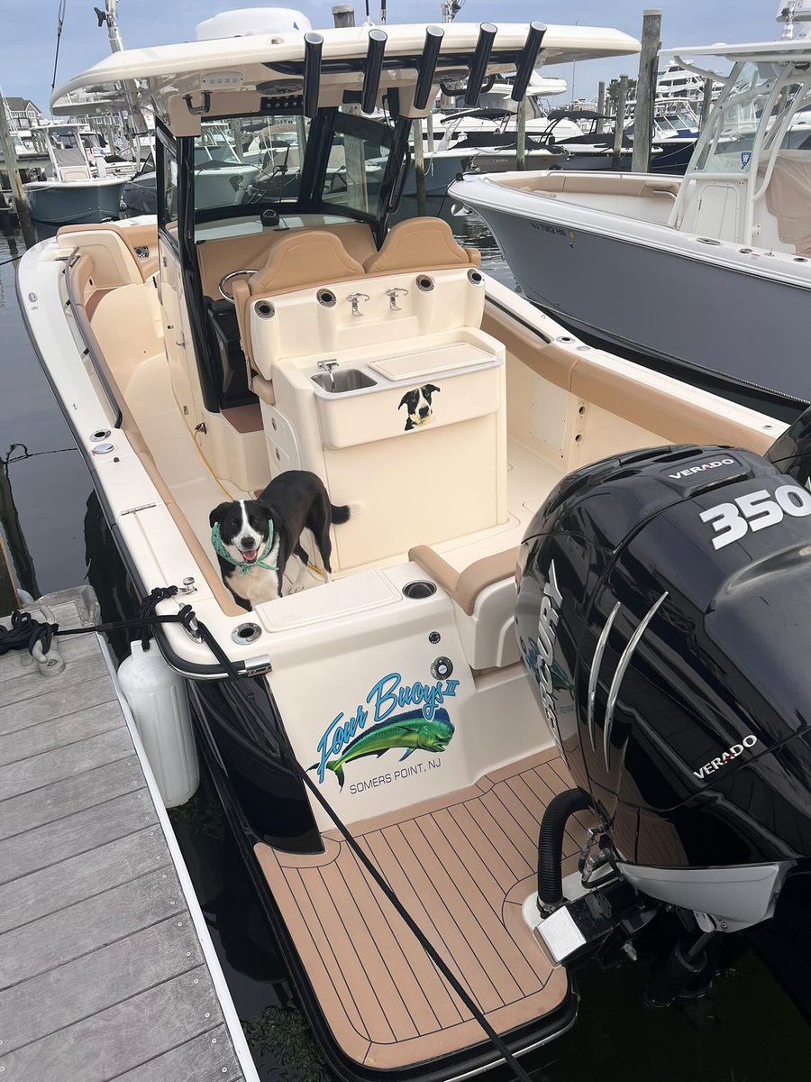 ScoutBoatsInc's tweet photo. Ahoy, Scout dogs! We're paws-itively thrilled to see our furry friends enjoying the boating life. Don’t forget to share your pictures of your canine co-captains!
-
📸 Bryce Edmunds
#teamscoutboats #scoutboats #centerconsolesonly #dualconsoles #fishing #boating https://t.co/wZ9Q3QHPTH