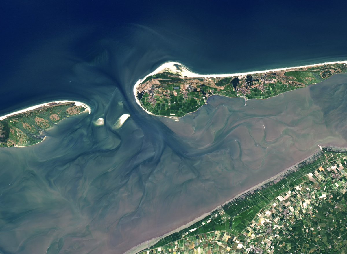 Wanmei L 🌎🛰️ tweet media