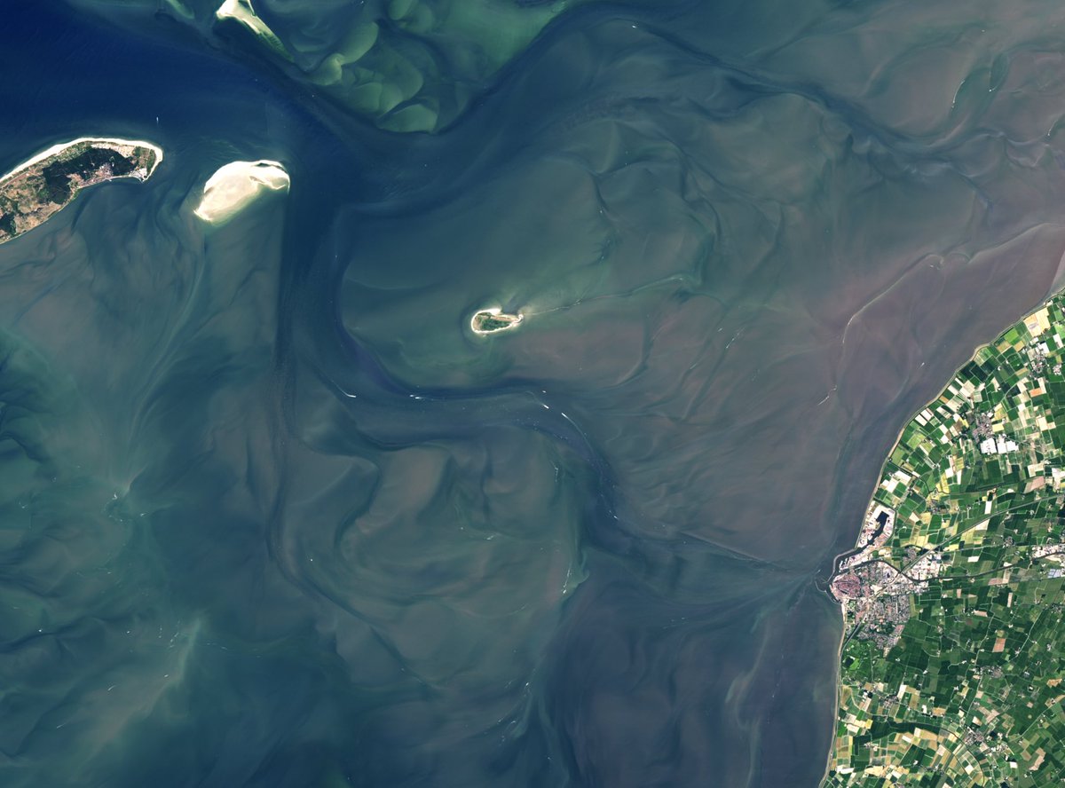 Wanmei L 🌎🛰️ tweet media