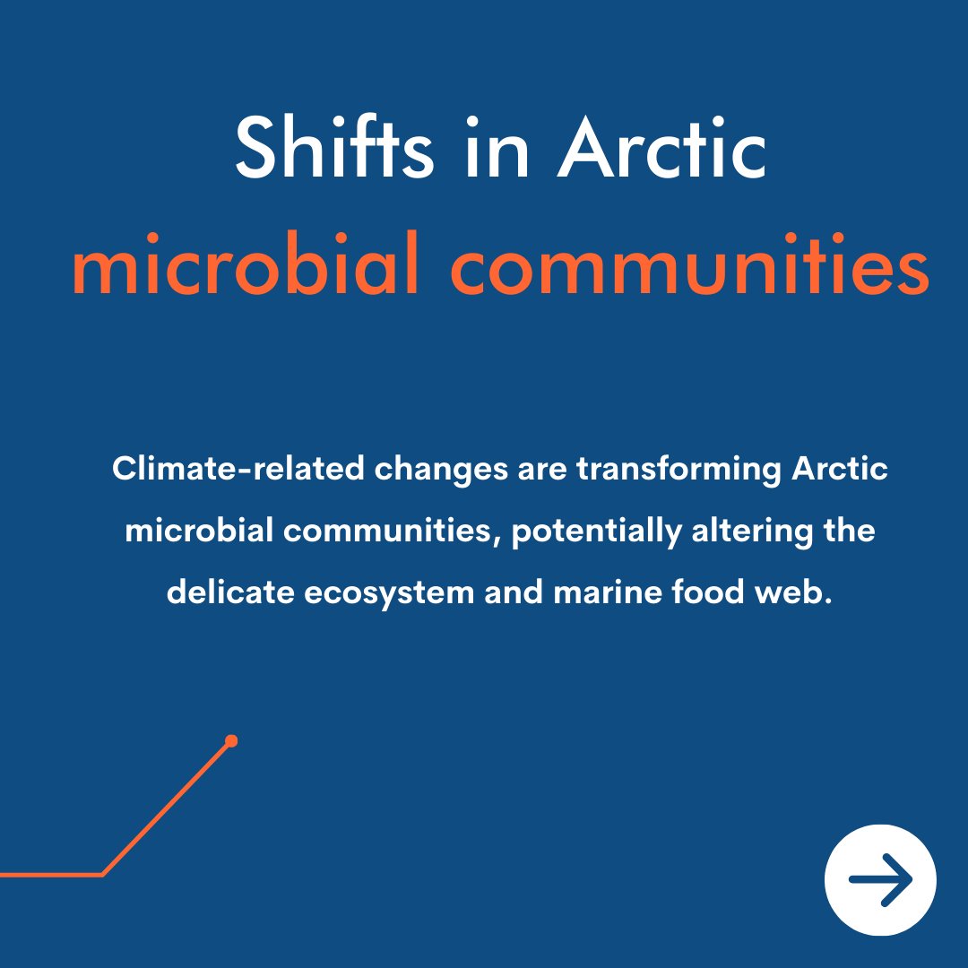 Arctic Basecamp tweet media
