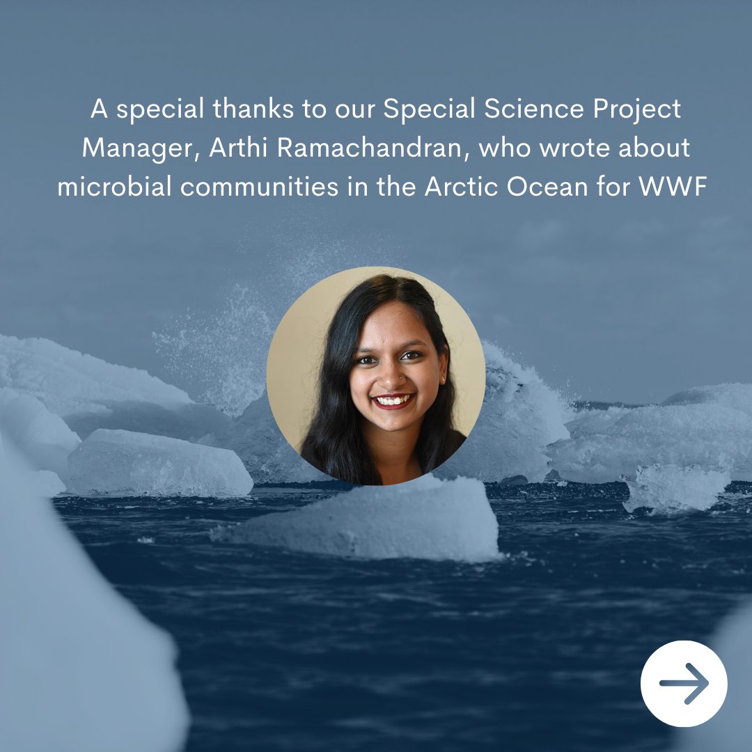Arthi Ramachandran, our Special Science Project Manager, wrote an article for <a href="/WWF/">WWF</a> <a href="/WWF_Arctic/">WWF Global Arctic Programme</a>  where she delves into the fascinating realm of Arctic microbes and their remarkable adaptability. Read the article here: bit.ly/44xQw3X

#ArcticClimateChange  #ArcticRisk