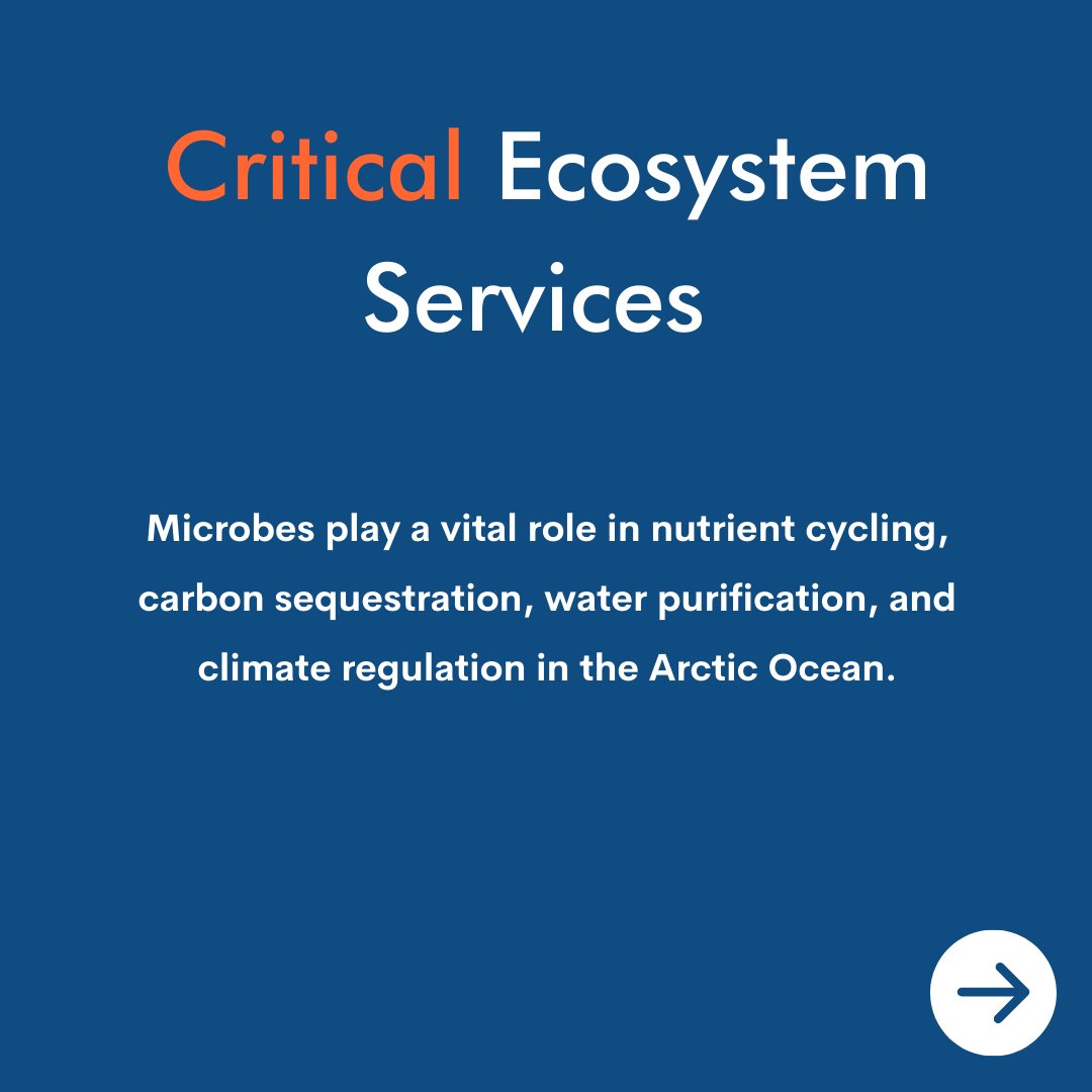 Arctic Basecamp tweet media