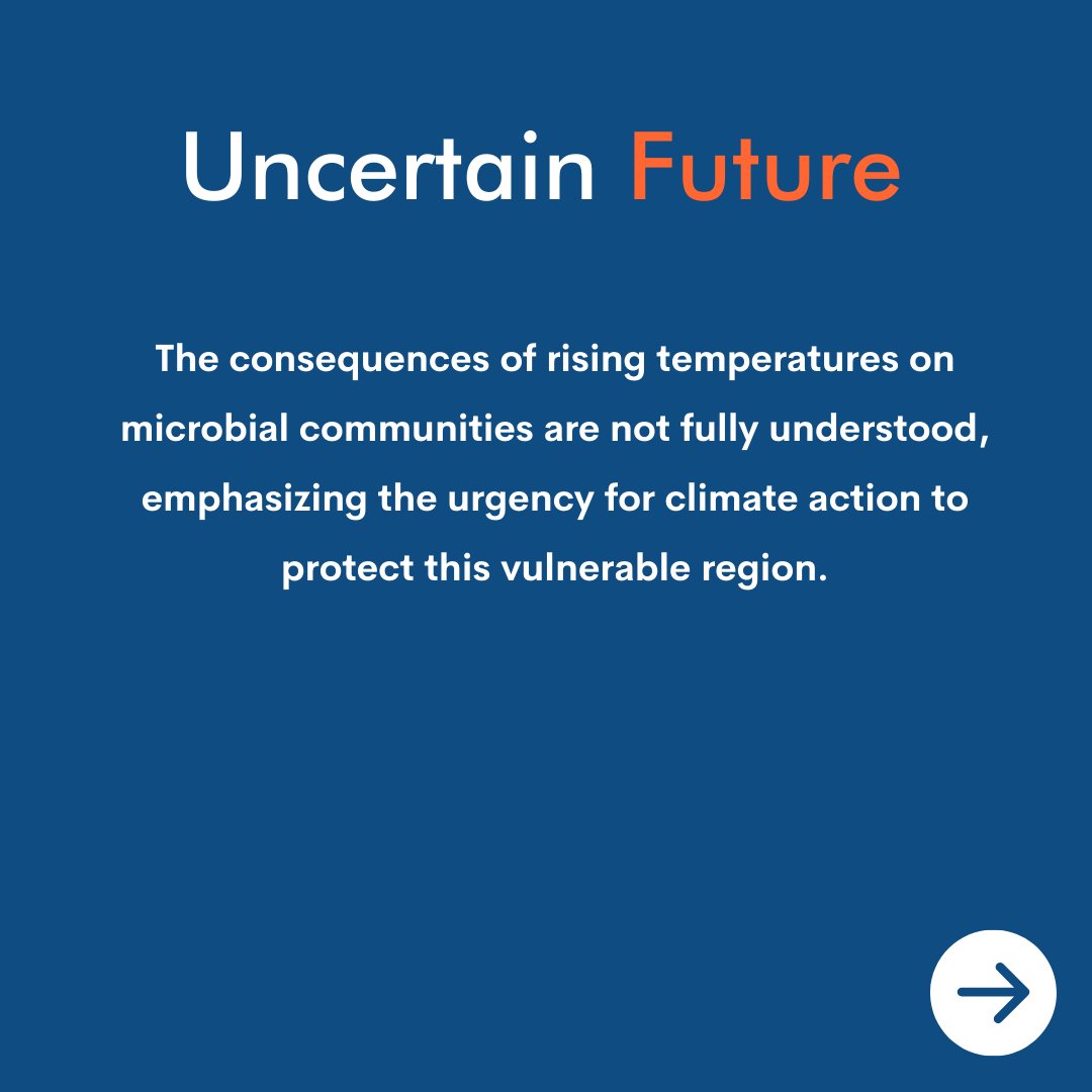 Arctic Basecamp tweet media