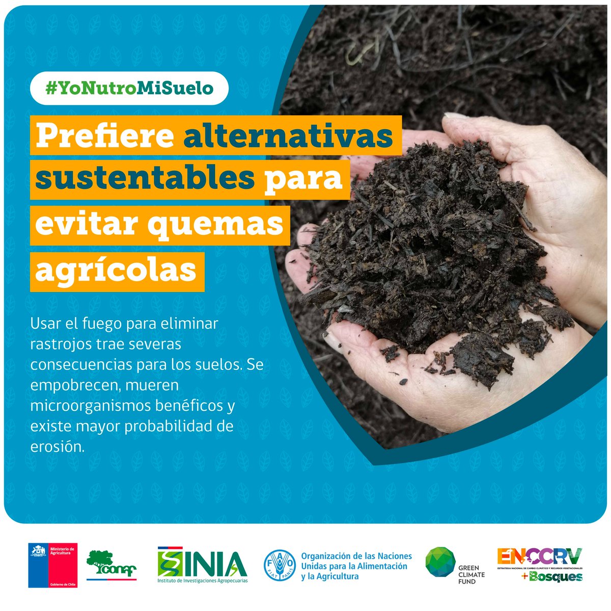 ¡Súmate y ayúdanos a evitar las #quemasagricolas 🚫!

Recuerda estas recomendaciones👇 que junto a <a href="/conaf_minagri/">CONAF - Corporación Nacional Forestal</a> y <a href="/FAOChile/">FAO Chile</a> impulsamos para transferir prácticas alternativas al uso del fuego, entre las regiones del Maule y Los Lagos.

📣#YoNutroMiSuelo