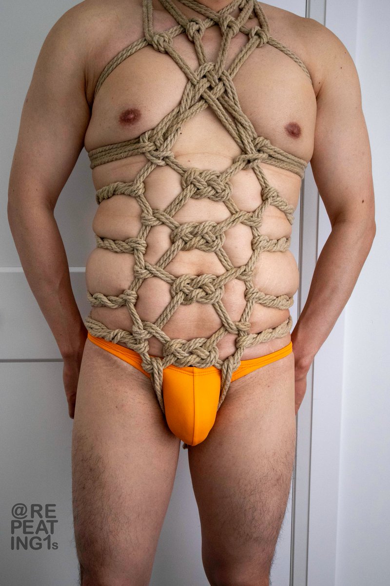 A harness suggested as a exercise by <a href="/myfroghashat/">Myfroghashat, now with more Hats</a> on <a href="/speedolover14/">SirSpeedo 🏳️‍🌈</a>.