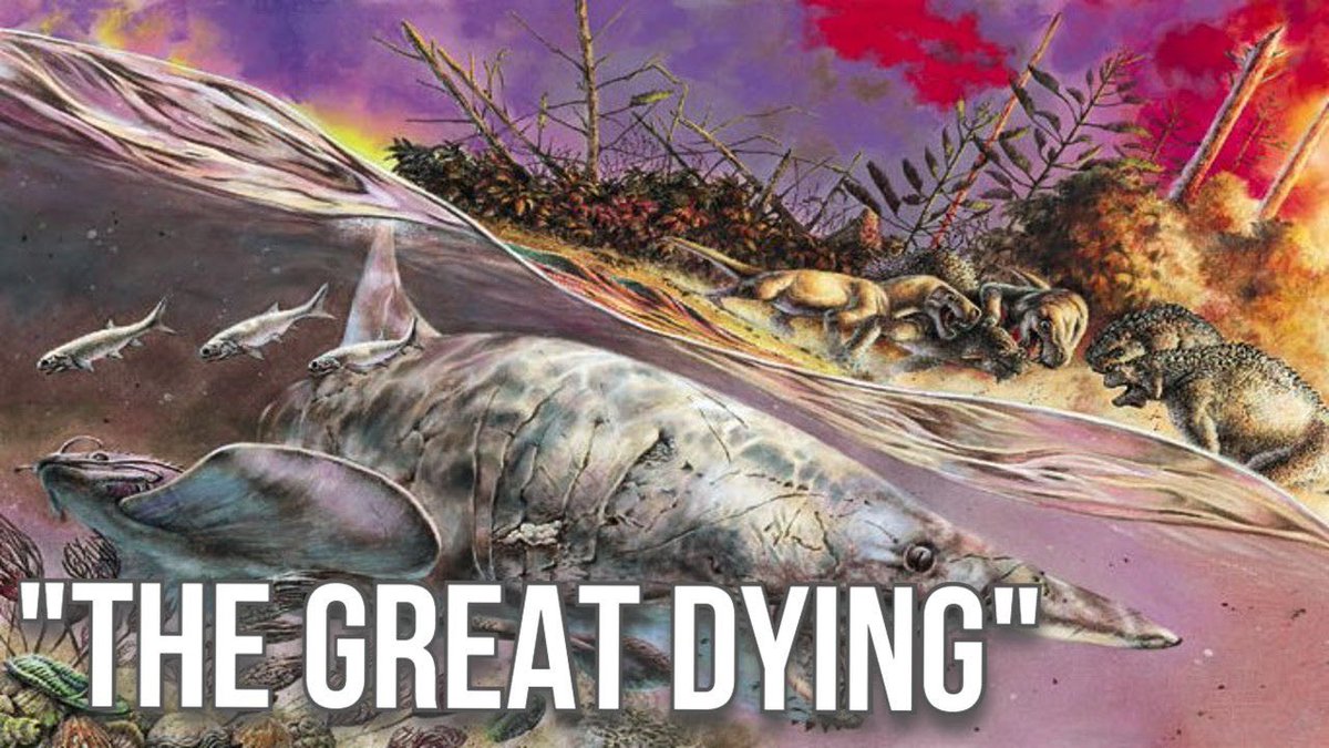 Heindsight's tweet image. The Great Dying, which occurred 250 million years ago, was a time of harsh conditions thru which very few mammals or amphibians managed to safely find refuge. In these times, multiple species would seek safe harbor together. 🦊🦎🦊