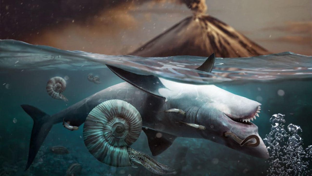 Heindsight's tweet image. The Great Dying, which occurred 250 million years ago, was a time of harsh conditions thru which very few mammals or amphibians managed to safely find refuge. In these times, multiple species would seek safe harbor together. 🦊🦎🦊