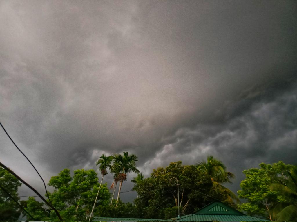 RichaDatta10's tweet photo. #Natural Phenomena Just before raining.🌩️🌧️
 #BeautyOfNature #NaturalBeauty #NaturePhotography #NatureBeauty #nature #naturelover #NatureVideograpghy https://t.co/3e5DHr264H