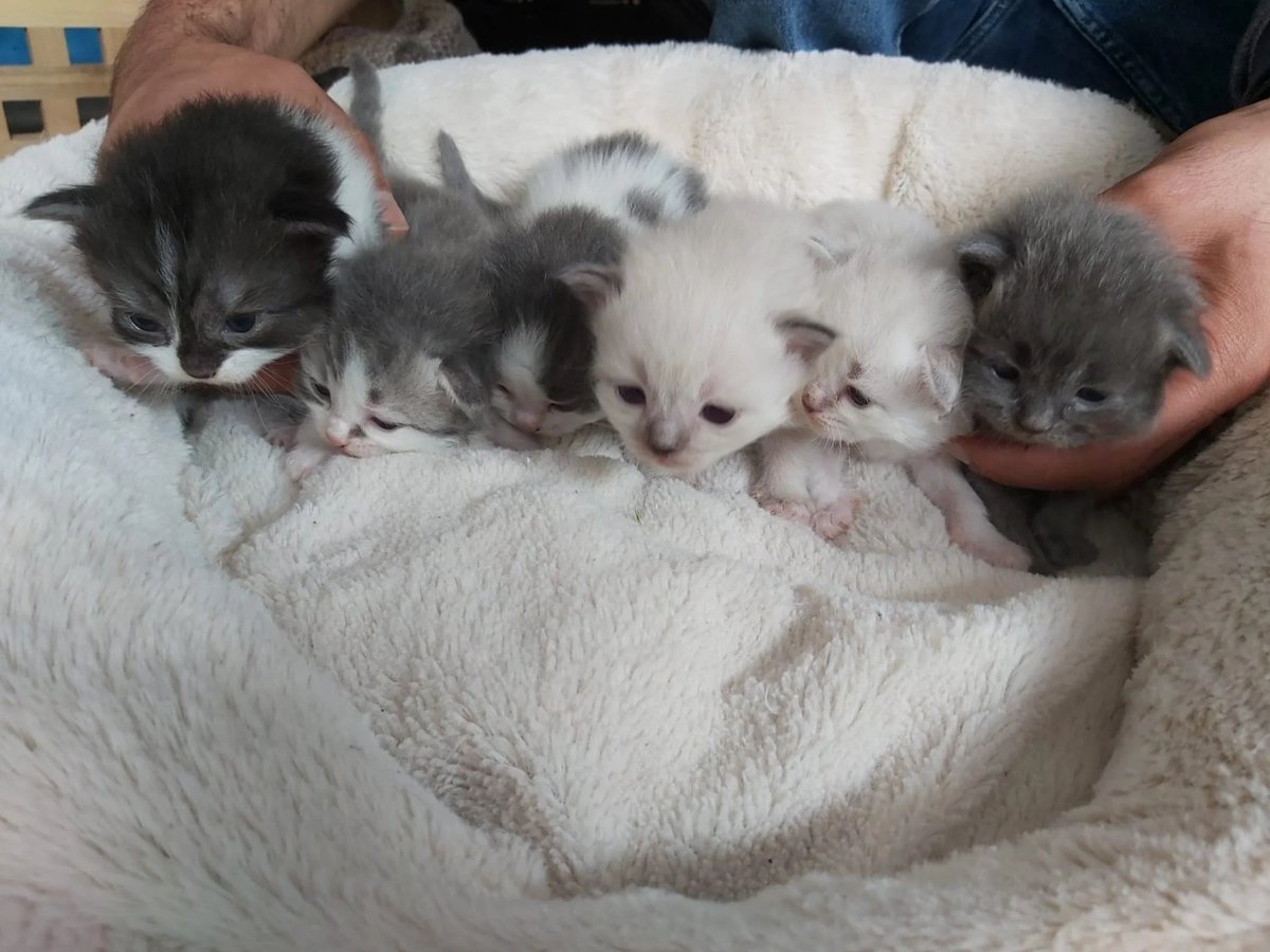 put ,yuour hhands up and. giving us  the  Tretes now