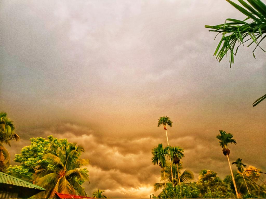 RichaDatta10's tweet photo. #Natural Phenomena Just before raining.🌩️🌧️
 #BeautyOfNature #NaturalBeauty #NaturePhotography #NatureBeauty #nature #naturelover #NatureVideograpghy https://t.co/3e5DHr264H