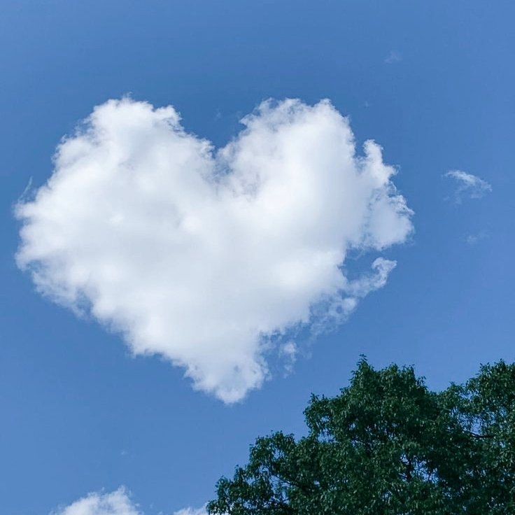 ɴɪɢʜᴛꜱꜱ ִֶָ࣪☾. tweet media