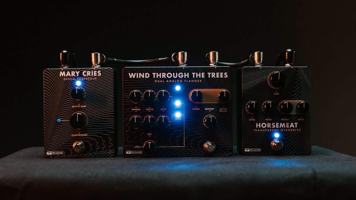 Mary Cries, Wind Through The Trees and Horsemeat. Have you tried out the PRS Pedals yet? #maketheboard