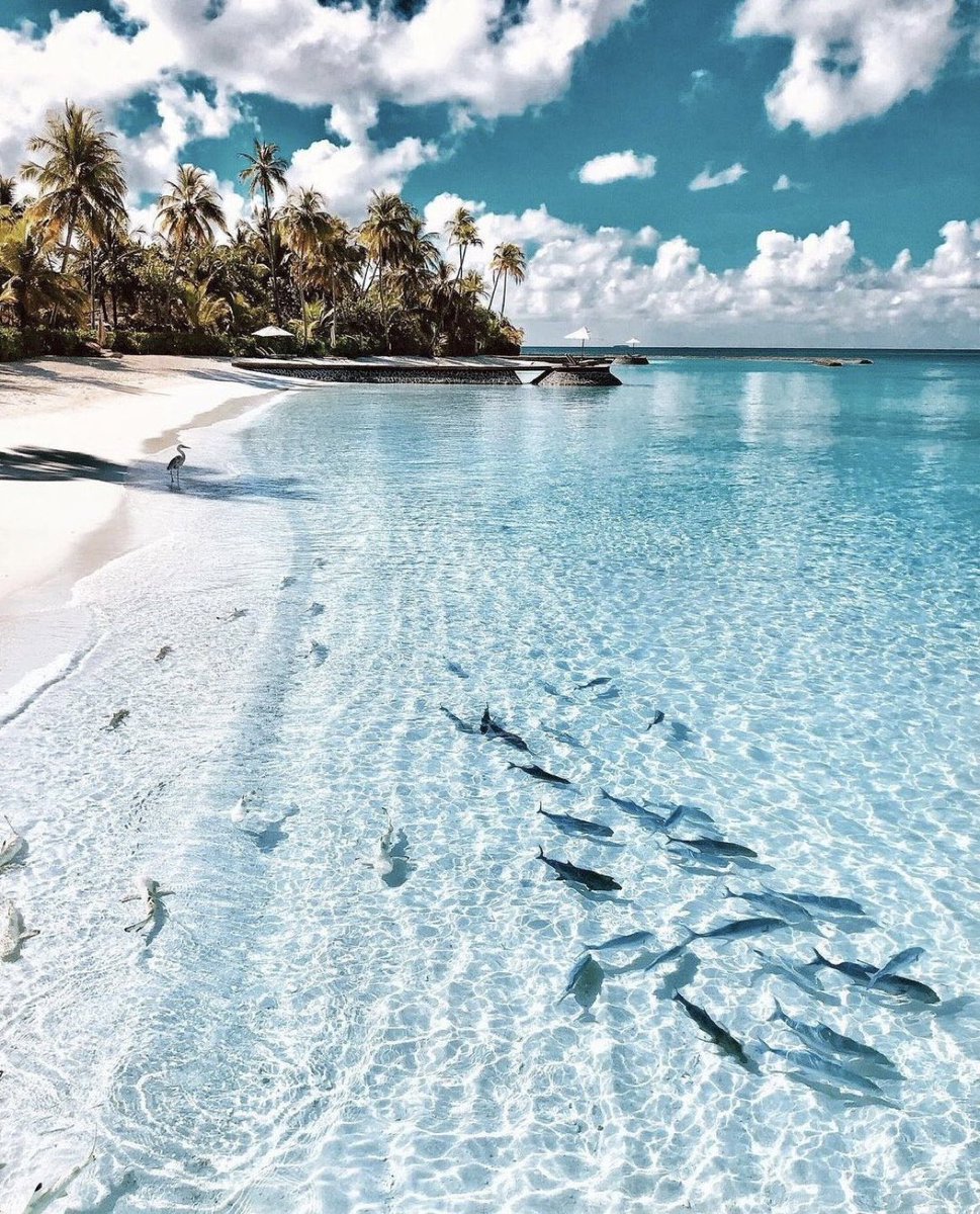 viewsoff_'s tweet image. Paradise in Maldives.