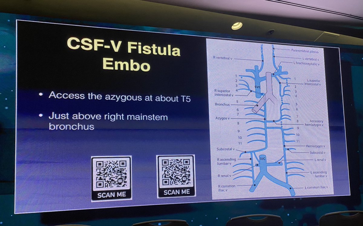 American Society of Spine Radiology (ASSR) tweet media