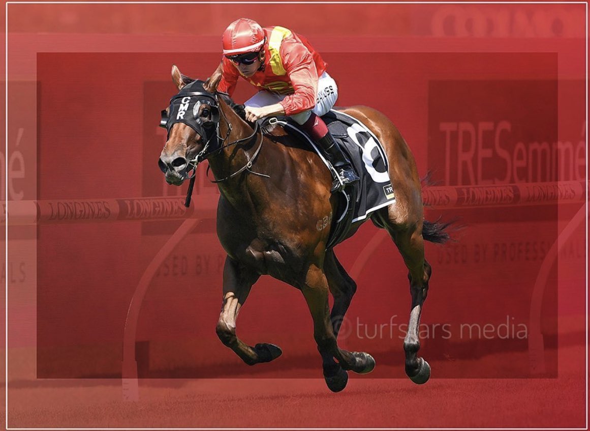 BestBloodstock's tweet photo. That’s a wrap for our 2nd season!

17.9% Win rate
45.71% Place rate 
$1.85m prize money earnings

I’m so proud to have had the @BestBloodstock silks ❤️💛 represented in the G1 Golden Slipper with our 2YO pin up girl Steel City, while we also had representation with our 3YO pin up boy Tijuana in the G1 Caulfield Guineas, where he was beaten under a length, with that pair combining to produce black type wins for our connections. 

This brand is only getting started. With our oldest crop of yearlings we purchased in 2021 only turning 4 tomorrow, we can’t wait to have 3 full crops of our yearling purchases on the track competing in some of the best races available.

We would like to thank all our training partners, their dedicated & loving staff, jockeys and of course our supporters & owners who make all this possible.

Horse most likely to win a G1:
Steel City

Horse we think can go to the next level:
Beast Mode 

2YO we think can really hit the ground running:
Encryption x Express Air Filly (Small % left to race her with @cmaherracing)

X-Factor / Smokie for the spring: 
Lionel 

Unraced horse to blackbook:
Boundaries 

Good luck to all our opposition for the 23/24 season ahead where we will look to grow, learn, educate and most importantly enjoy this great game!❤️💛

Jarred Magnabosco
