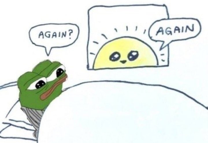 DangIe44's tweet image. Gm frens