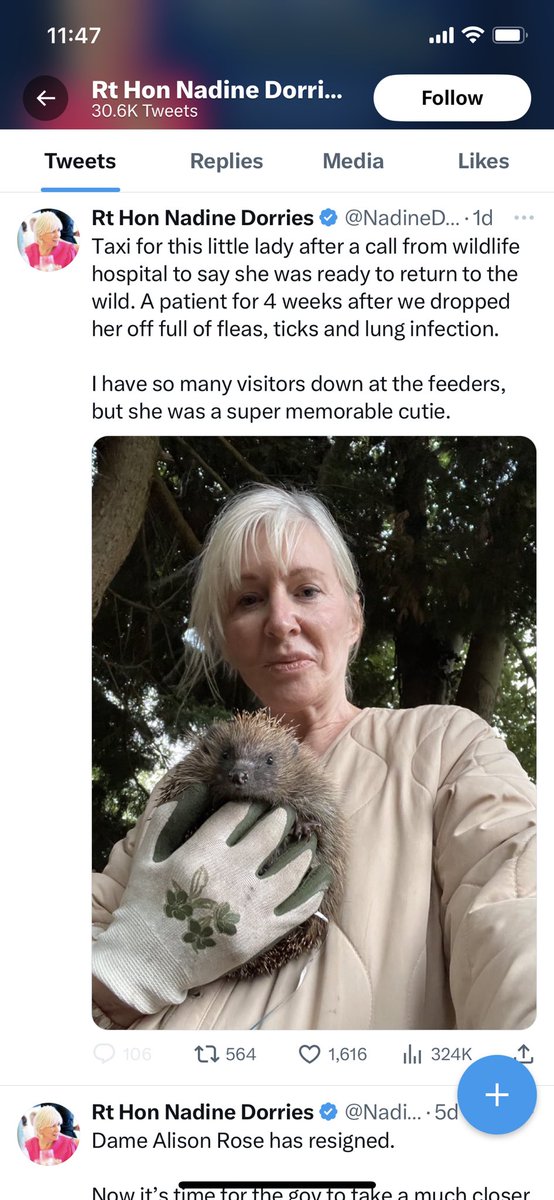 ⁦<a href="/mrjamesob/">James O'Brien</a>⁩ <a href="/lbc/">LBC</a> As much as I love hedgehogs shame Ms Dorries can’t give as much attention to her own constituents.