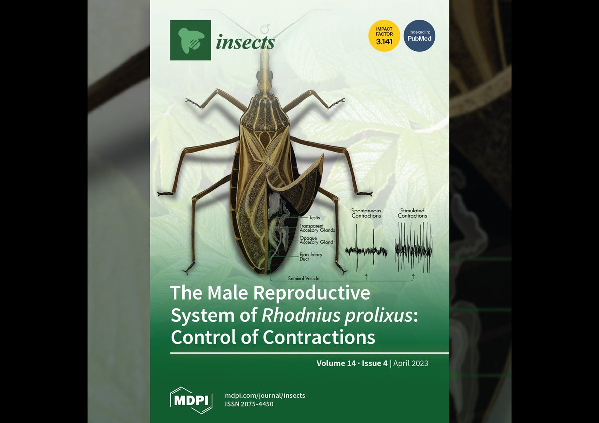 @darwid_illustration tweet media