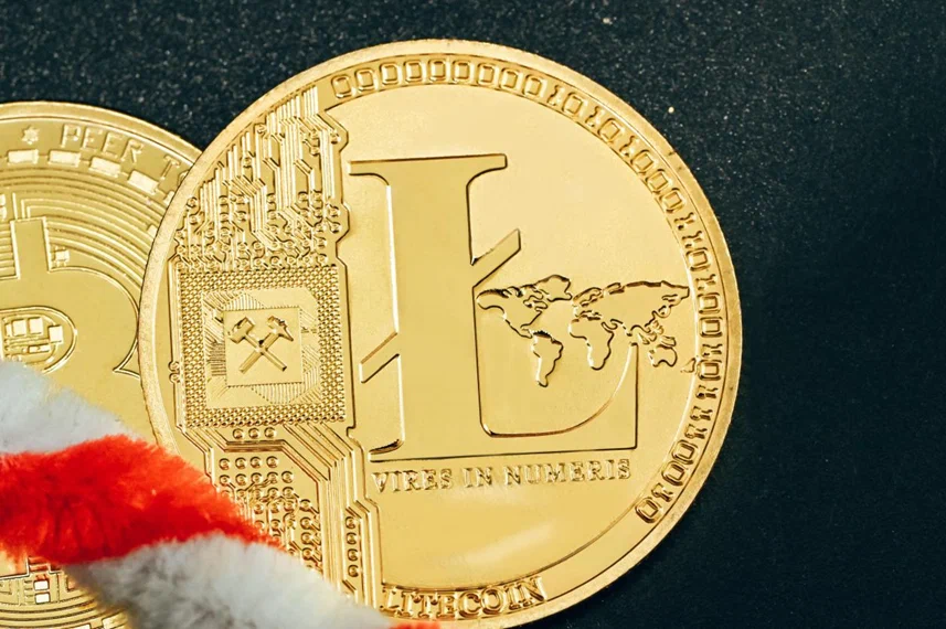 ViabtcR's tweet photo. #ViaBTC | Халвинг LTC совсем близко: ключевые показатели для майнеров

⏱️ До халвинга, который ожидается 2 или 3 августа, осталось менее 3700 блоков

✅ Подробнее в нашей статье: https://t.co/ZnQCNXUplG

#ViaLTC #LTCHalving #Litecoin ⚡️ https://t.co/N0eWS1SW8J