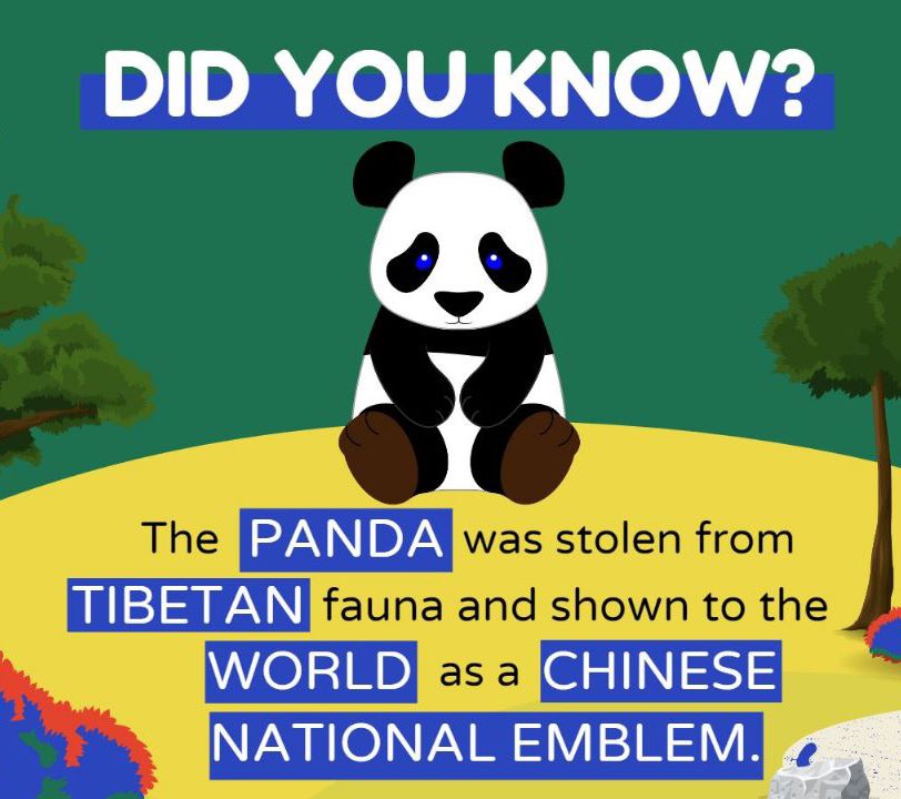 PlantsTibetan's tweet image. The Panda, an iconic symbol of conservation, once roamed parts of #Tibet. However, due to habitat loss and human activities, their numbers have dwindled. Efforts to protect their habitats and promote conservation awareness are crucial to prevent further decline. #SaveThePandas