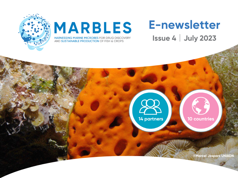 MARBLES_EU's tweet photo. The @MARBLES_EU E-Newsletter 4 is out now!
🌊🦠💊🐟🌾
All the latest from the project, including an update on contributions to the High Seas Treaty, a @Marine_Drugs special issue & our research at the upcoming European Conference on Marine Natural Products https://t.co/ov7HfaxLvh https://t.co/3A6Tz1Nl9H