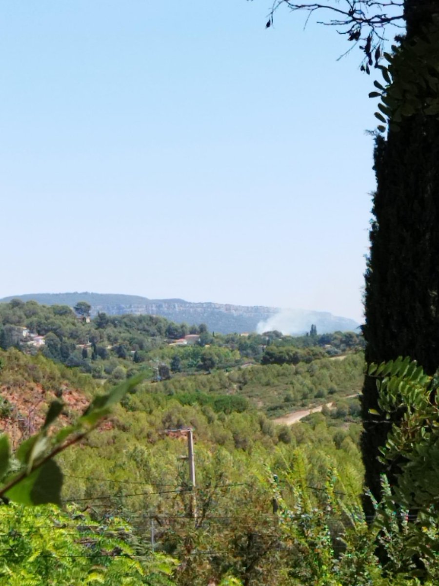ALERTE ‼️| Un feu de forêt est en cours sur la commune de Châteauneuf-le-Rouge 
(Bouches-du-#Rhône-13) 

🛩 1 dash-8 engagé 

#pompiers #incendie #FeuxDeForêt #GIFF #PSFDF #SDIS13 #ChâteauneufLeRouge
#BouchesDuRhône