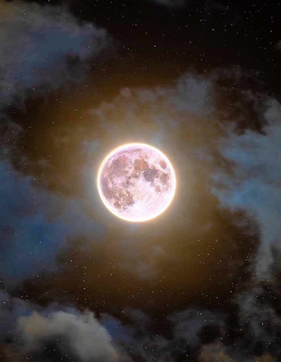 Full pink moon on a starry night.