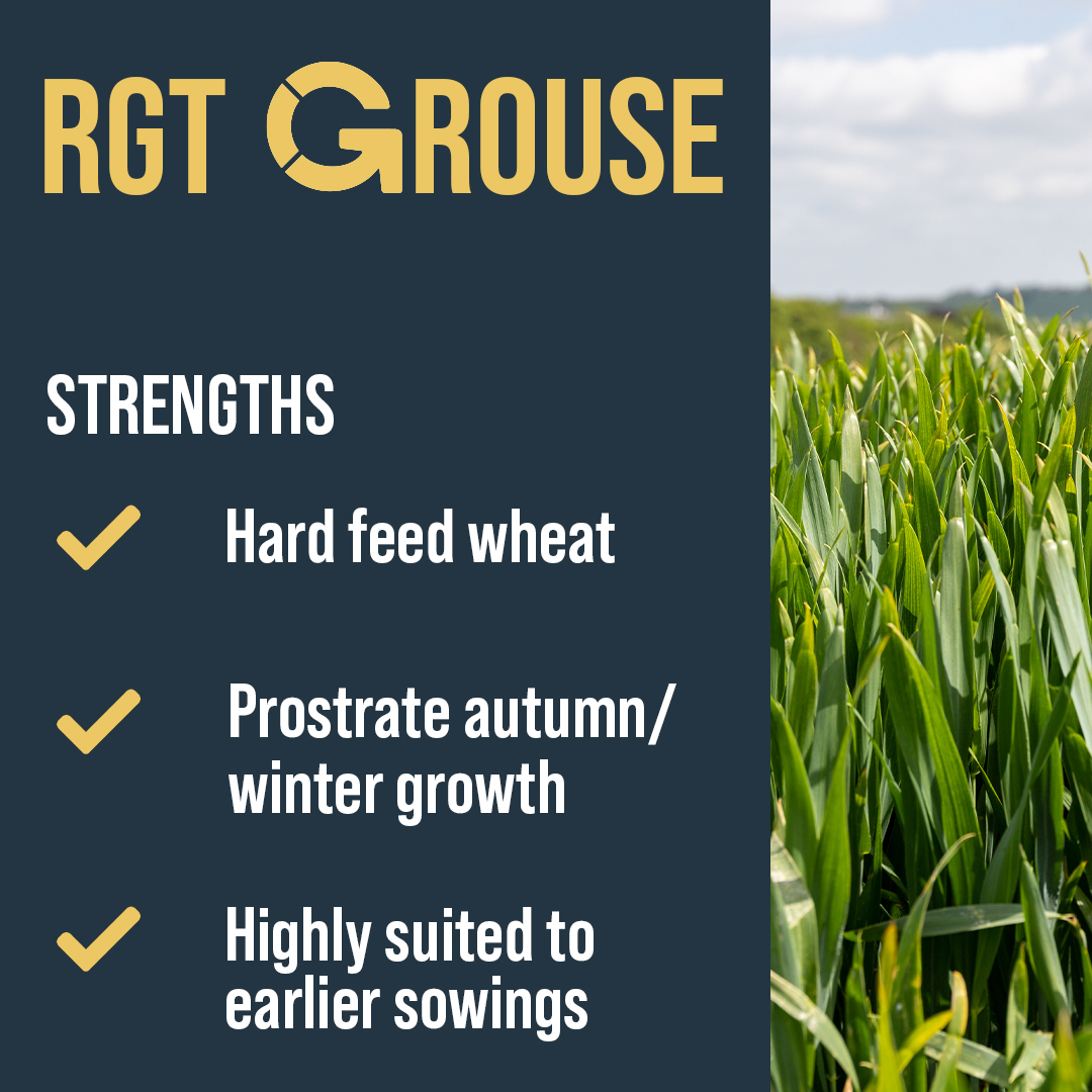 RAGT Seeds UK tweet media