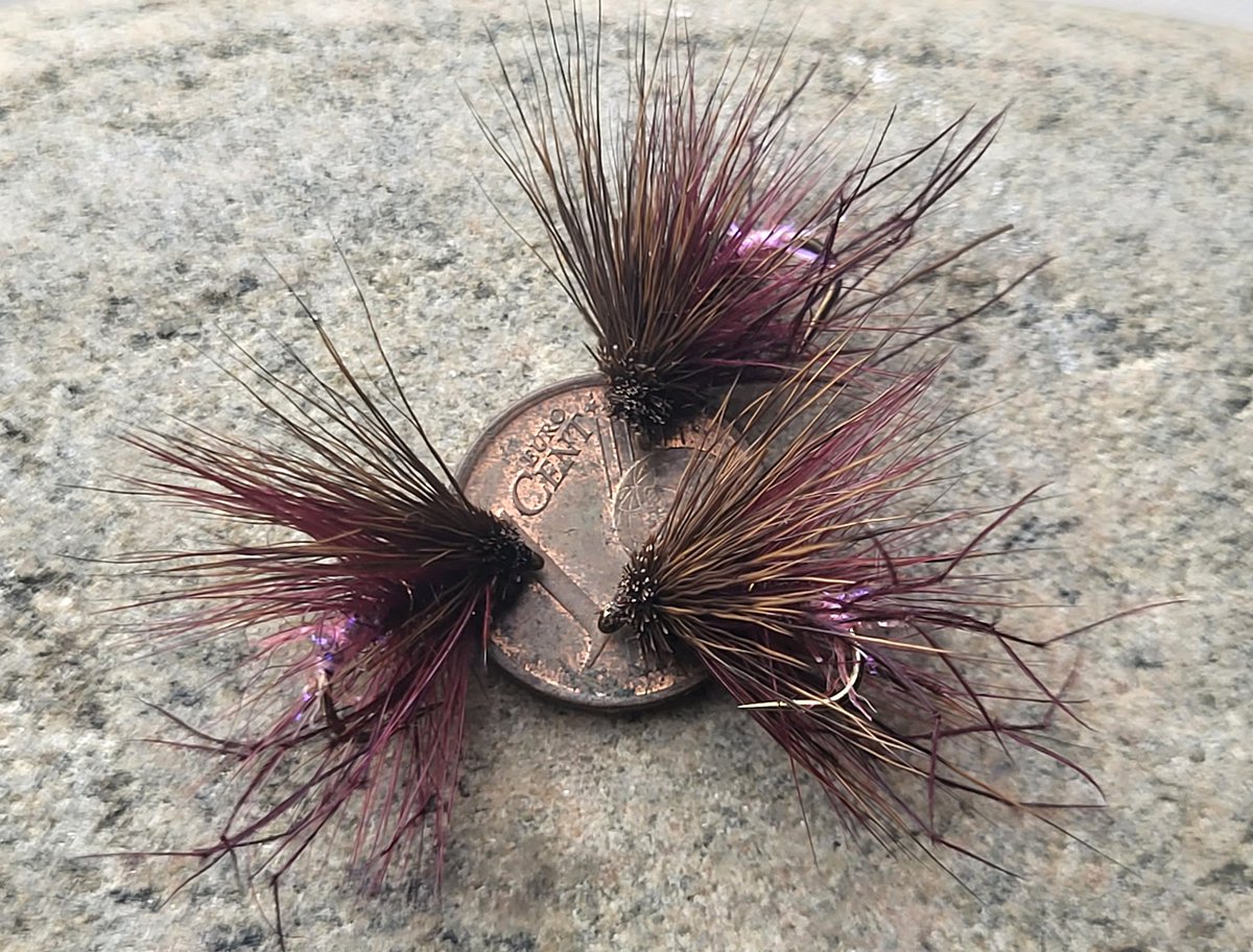 mccoy007_coy's tweet photo. #claretsmuddler #wetfly #irishloughs #cpr #wildbrowntrout #wildatlanticsalmon #sonaghan #loughsheelin #loughcorrib #loughmask #worldcup π£βοΈπ https://t.co/8tlwkkHMLs